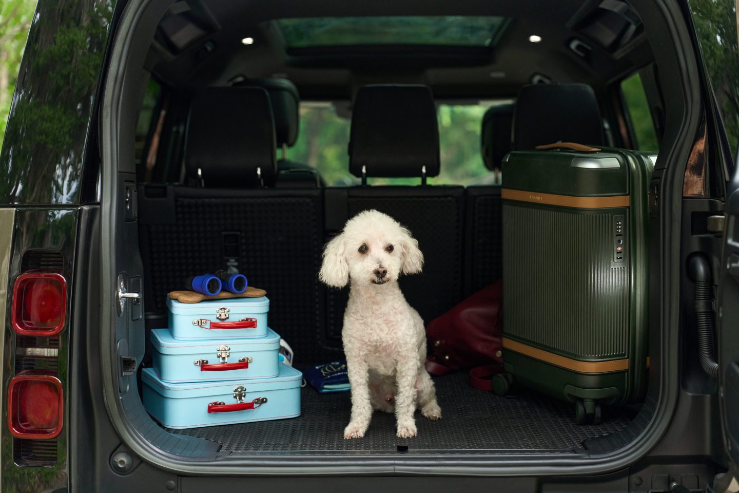 Pet parents are spending thousands to plan their dog’s perfect vacation through Bark Air’s new luxury concierge service