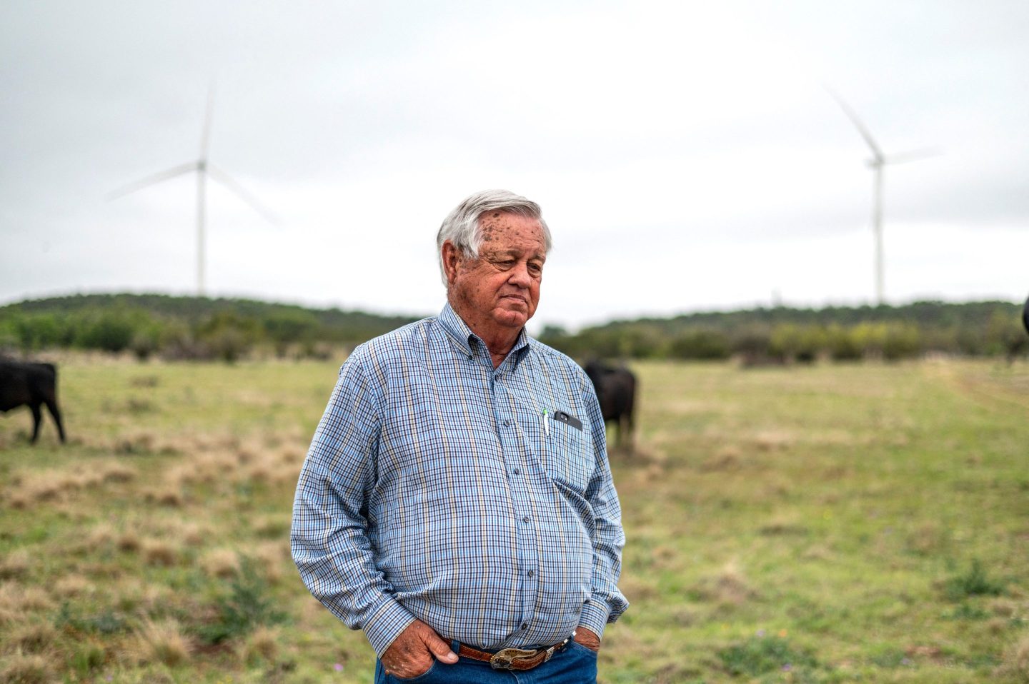 A man in a blue collared shirt stands in a cattle field. He is frowning and looking down.