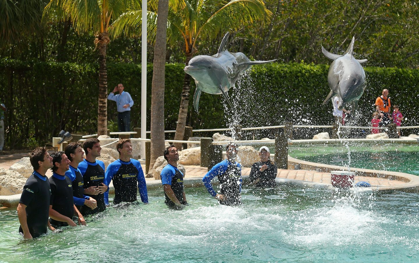 Alejandro Gonzalez of Colombia, Pablo Carreno Busta of Spain, Federico Delbonis of Argentina, Fabio Fognini of Italy, and Tommy Robredo of Spain swim with dolphins at the Miami Seaquarium ahead of the 2014 Sony Open on March 18, 2014 in Key Biscayne, Florida.